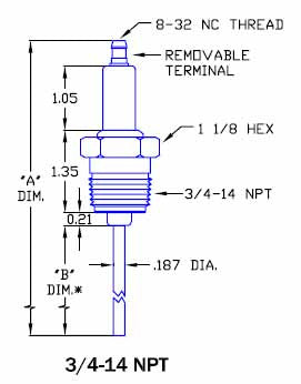 Flame Rod & Igniter R6031