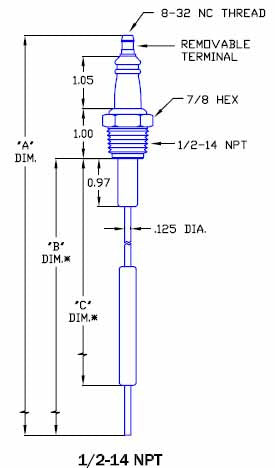 Flame Rod & Igniter R6028