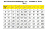 Romet Rotary-Meters with ADEM-PTZ Module (Metric)