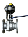 Supervisory Valve with Flange Connection