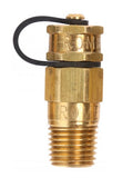 Romet Plug - Pressure and Temperature Test Plug