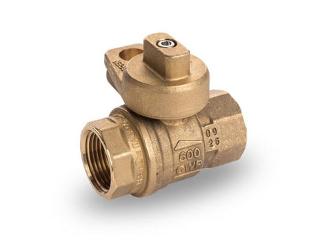 S80 Series Valve with Tamper Proof Lockwing